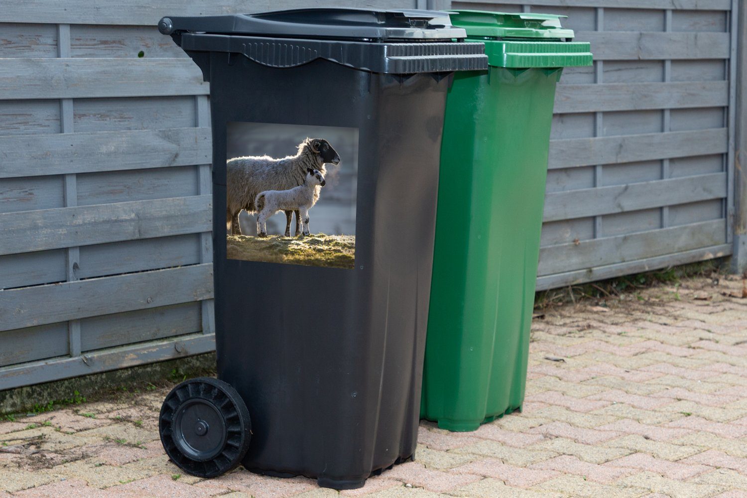 St), - - Container, (1 Mülltonne, Wandsticker Abfalbehälter Schaf Sticker, MuchoWow Mülleimer-aufkleber, Lamm Sonne