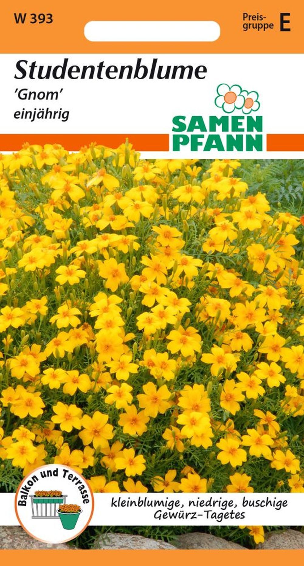 SAMEN PFANN Blumensamen Tagetes, Gnom - Saatgut Tagetes-Samen Samen, Tagetes tenuifolia