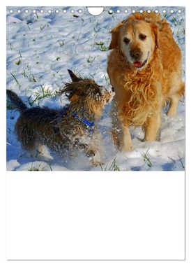 CALVENDO Wandkalender Hunde Freunde (Wandkalender 2025 DIN A4 hoch), CALVENDO Monatskalender