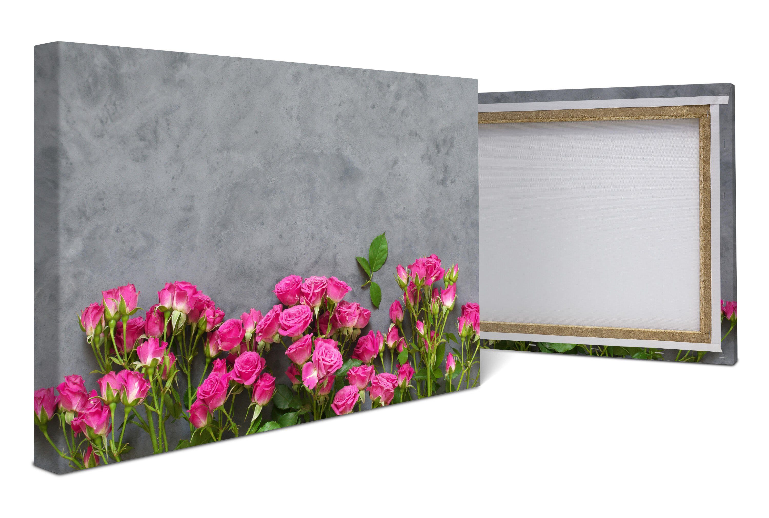 wandmotiv24 Leinwandbild Rosa Rosen auf dunkelgrauem Hintergrund, Blumen und Pflanzen (1 St), Wandbild, Wanddeko, Leinwandbilder in versch. Größen