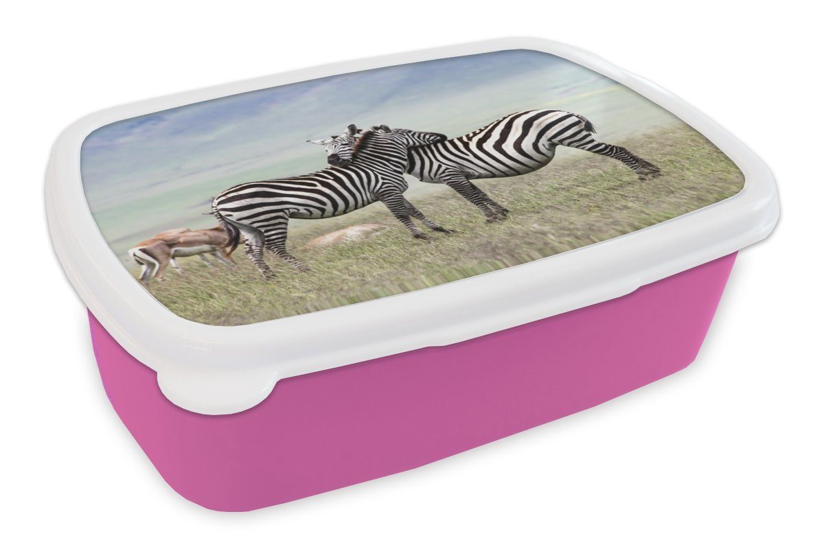 MuchoWow Lunchbox Zebras - Gras - Schwarz - Weiß, Kunststoff, (2-tlg), Brotbox für Erwachsene, Brotdose Kinder, Snackbox, Mädchen, Kunststoff rosa