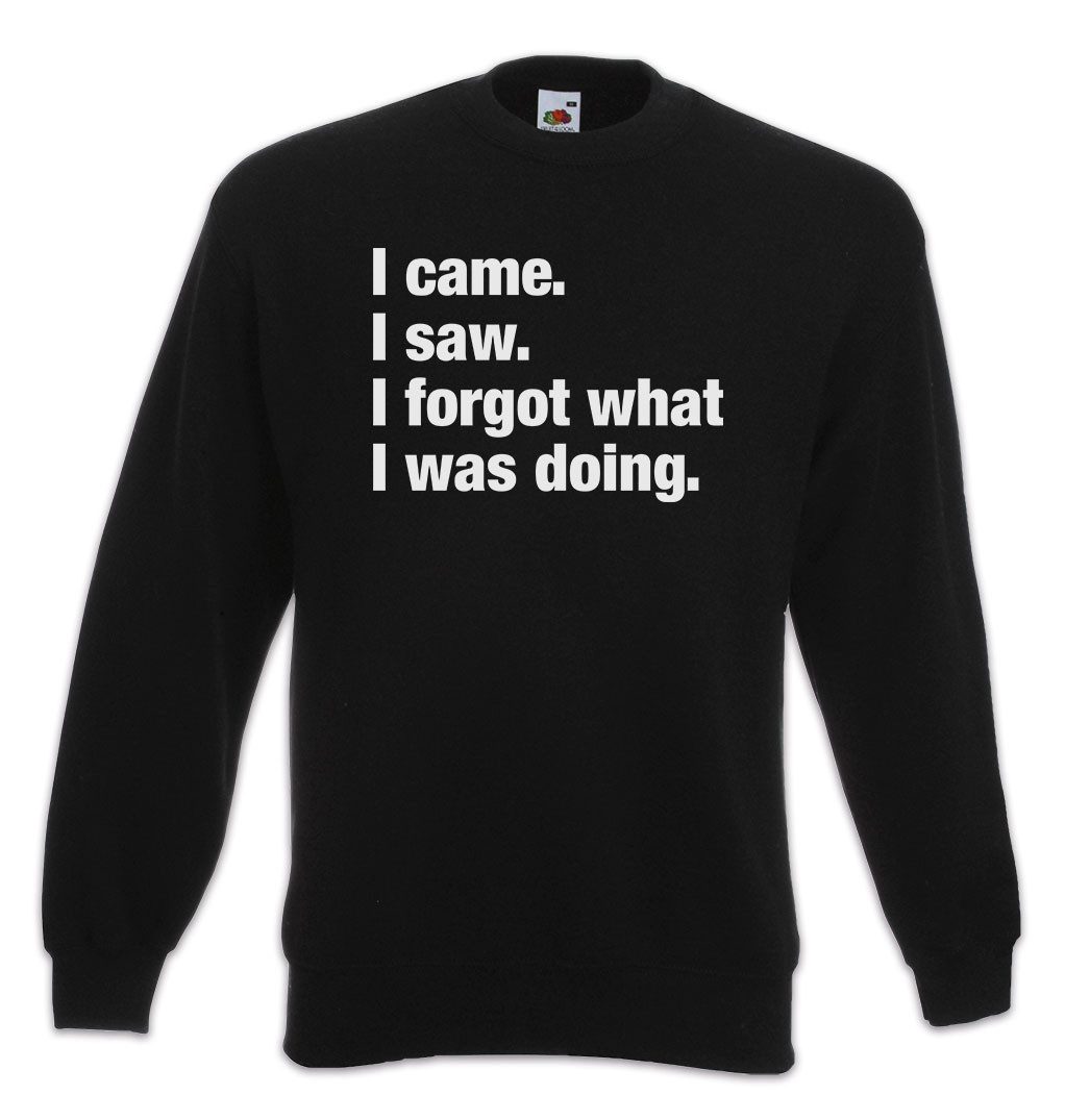 Sweatshirt I Came I Saw I Forgot What I Was Doing Sweatshirt Slogan Spruch Motto