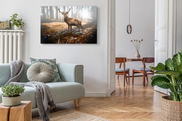 Sinus Art Leinwandbild 120x80cm Wandbild auf Leinwand Hirsch Wald Natur strahl Tierfotografie, (1 St)