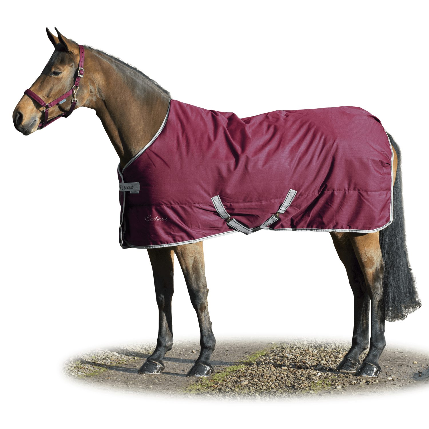 Bucas Pferde-Abschwitzdecke Bucas Shamrock Power Exclusive 0g