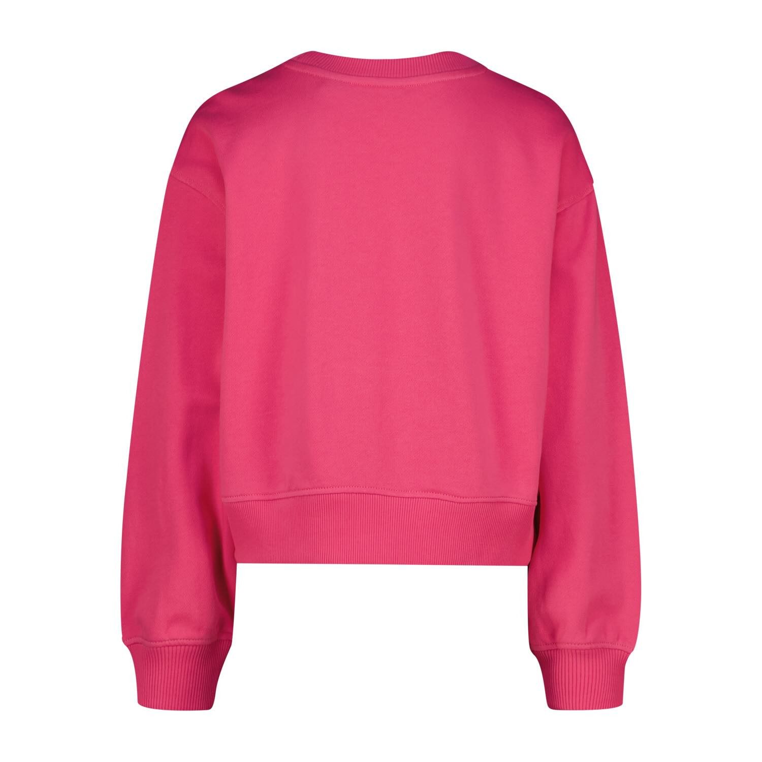 Vingino Sweater Sweater mit Statement-Print aus 100 % Baumwolle