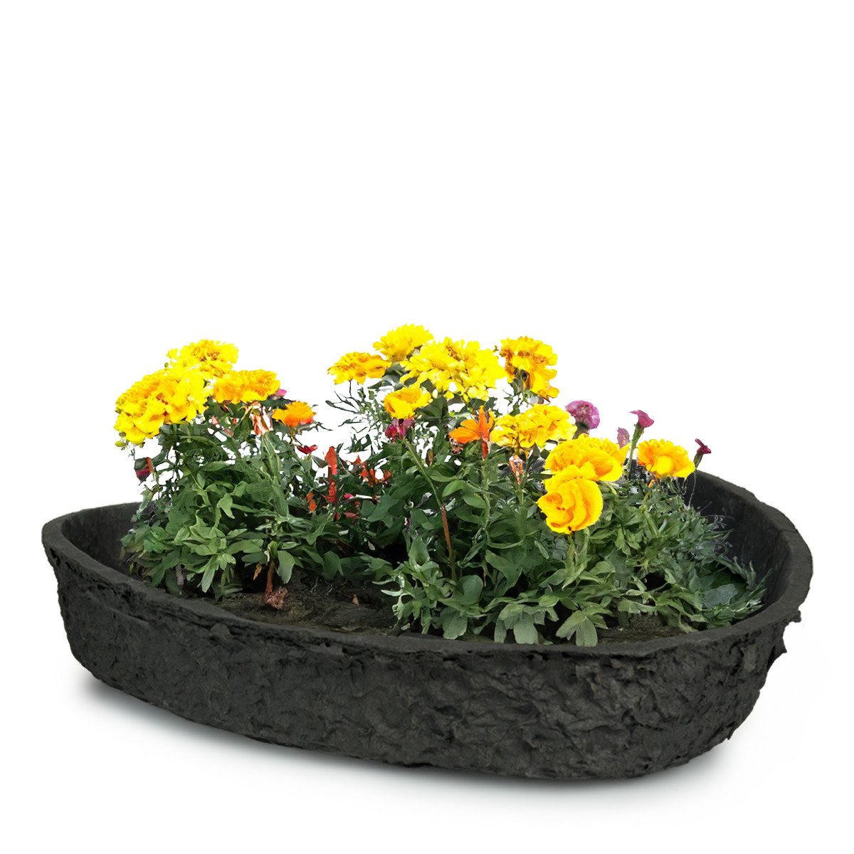 matches21 HOME & HOBBY Blumentopf Pflanz-Herz für außen, biologisch abbaubar, Pflanzschale 36 cm (1 St), Плантатор kompostierbar als Friedwald Blumentopf Blumen-Schale