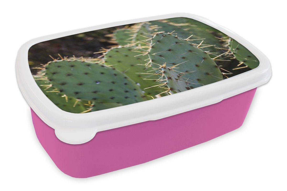(2-tlg), Kinder, Erwachsene, Kunststoff Kunststoff, Snackbox, Fotodruck, MuchoWow Brotbox für Botanischer Brotdose Mädchen, Lunchbox Kaktus rosa
