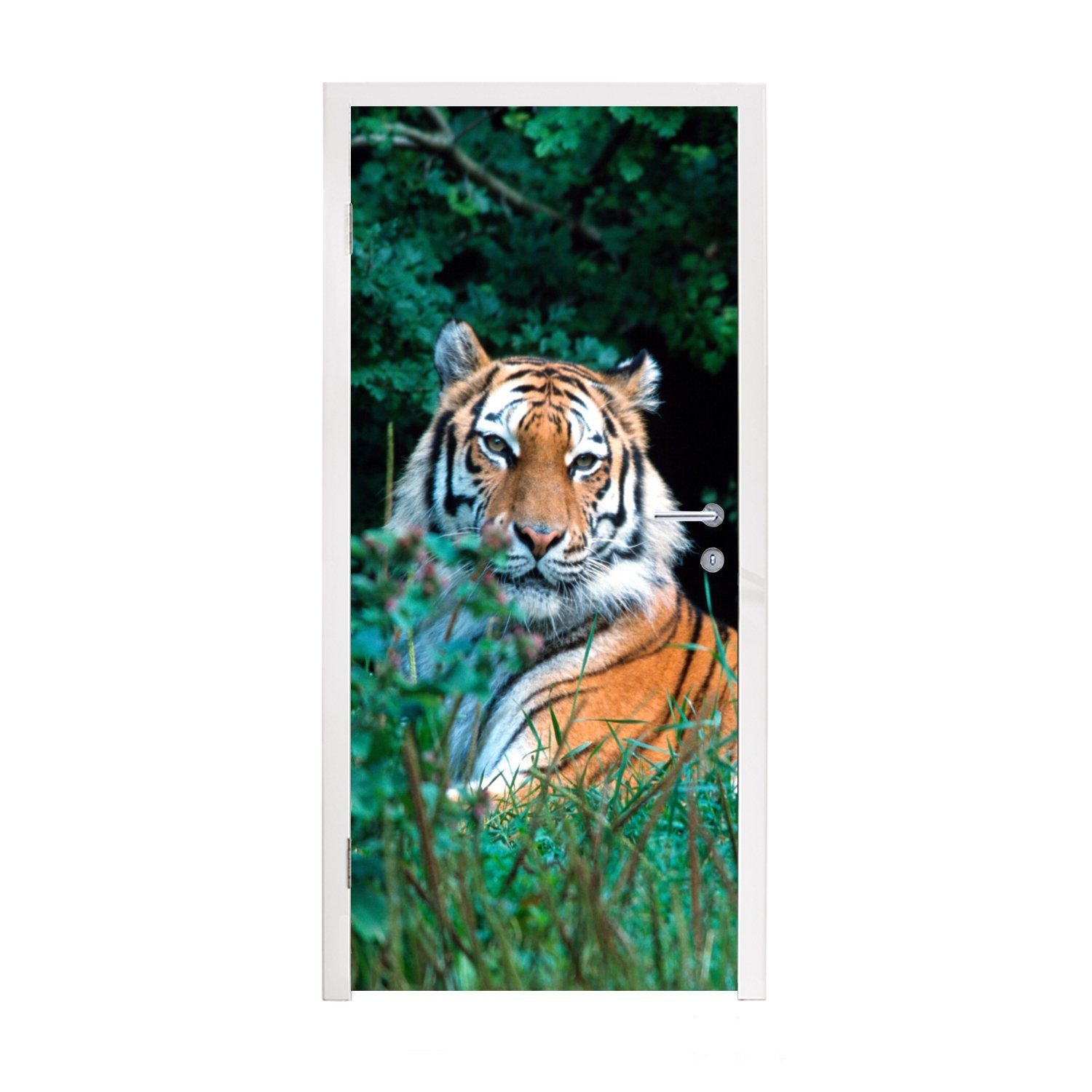 MuchoWow Türtapete Tiger - Gras - Grün, Matt, bedruckt, (1 St), Fototapete für Tür, Türaufkleber, 75x205 cm