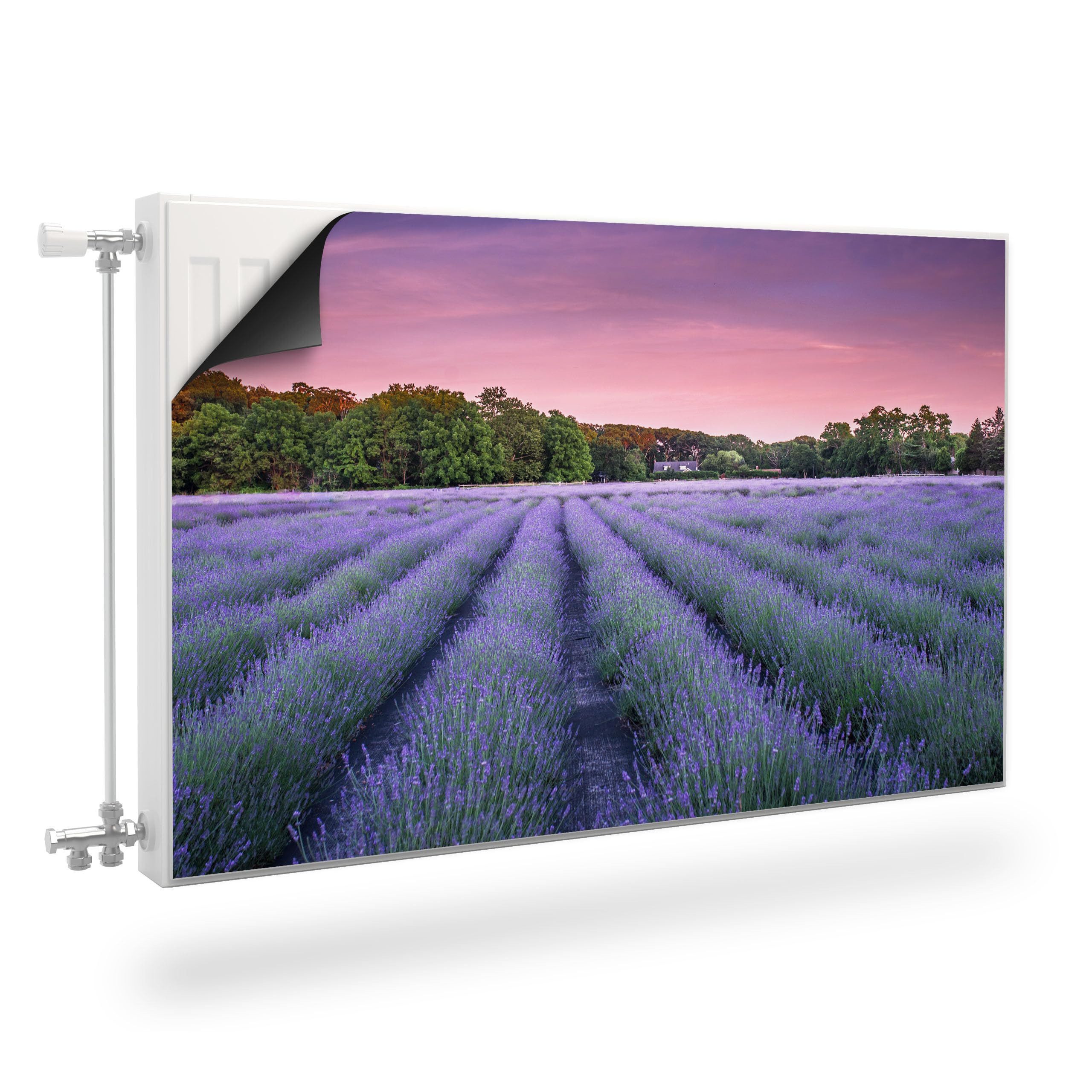 Muralo Magnetfolie Heizkörperverkleidung – Heizkörperabdeckung magnetisch Magnetmatte, Lavendelfeld – 80x60 cm, abriebfest, abwischbar