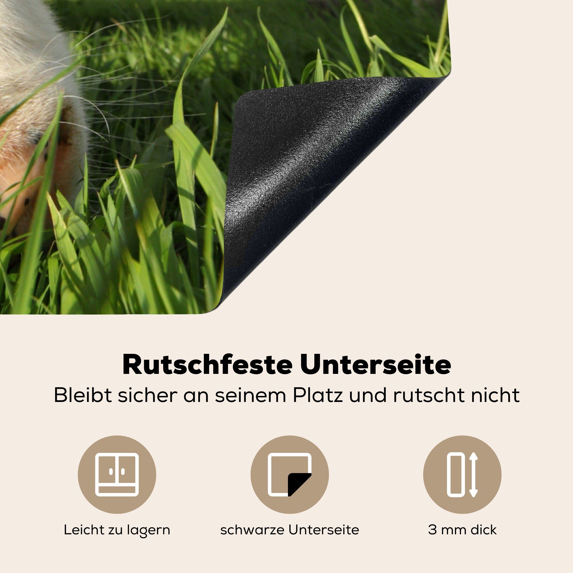 MuchoWow Herdblende-/Abdeckplatte Kuh - Gras (1 Luft, tlg), - Ceranfeldabdeckung, 78x78 cm, für Vinyl, - küche Arbeitsplatte Nase