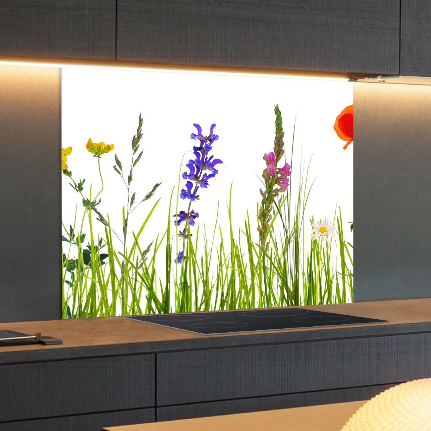 Rückwand24 Spritzschutz Spritzschutz Küchenrückwand Alu Glanz Natur