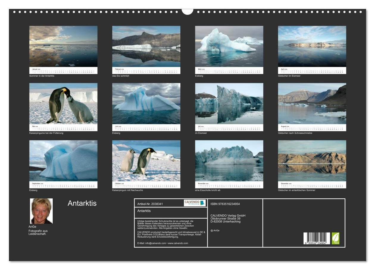 Thumbnail - CALVENDO Wandkalender Antarktis (Wandkalender 2026 DIN A2 quer), CALVENDO Monatskalender