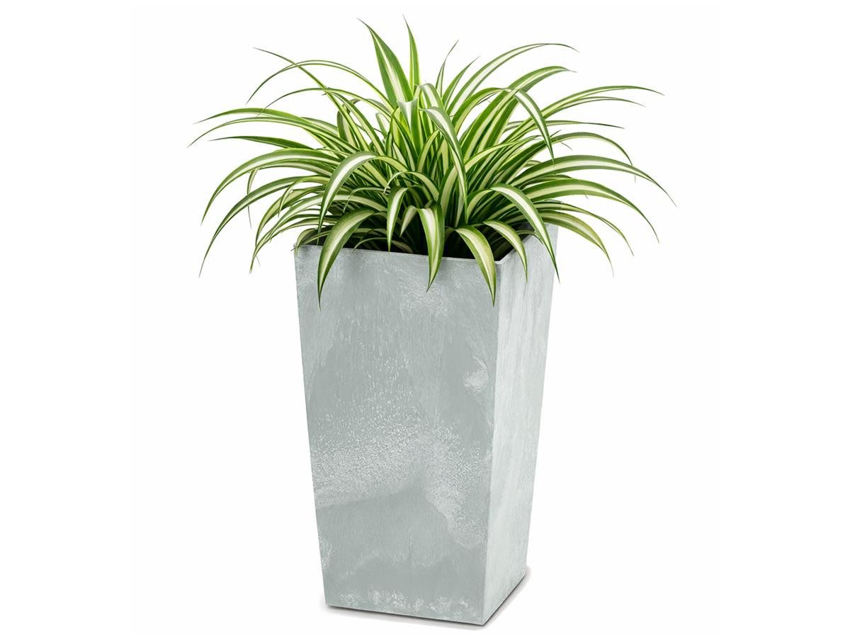 Prosperplast Blumentopf Urbi Square Beton Effect, inkl. Pflanzeinsatz