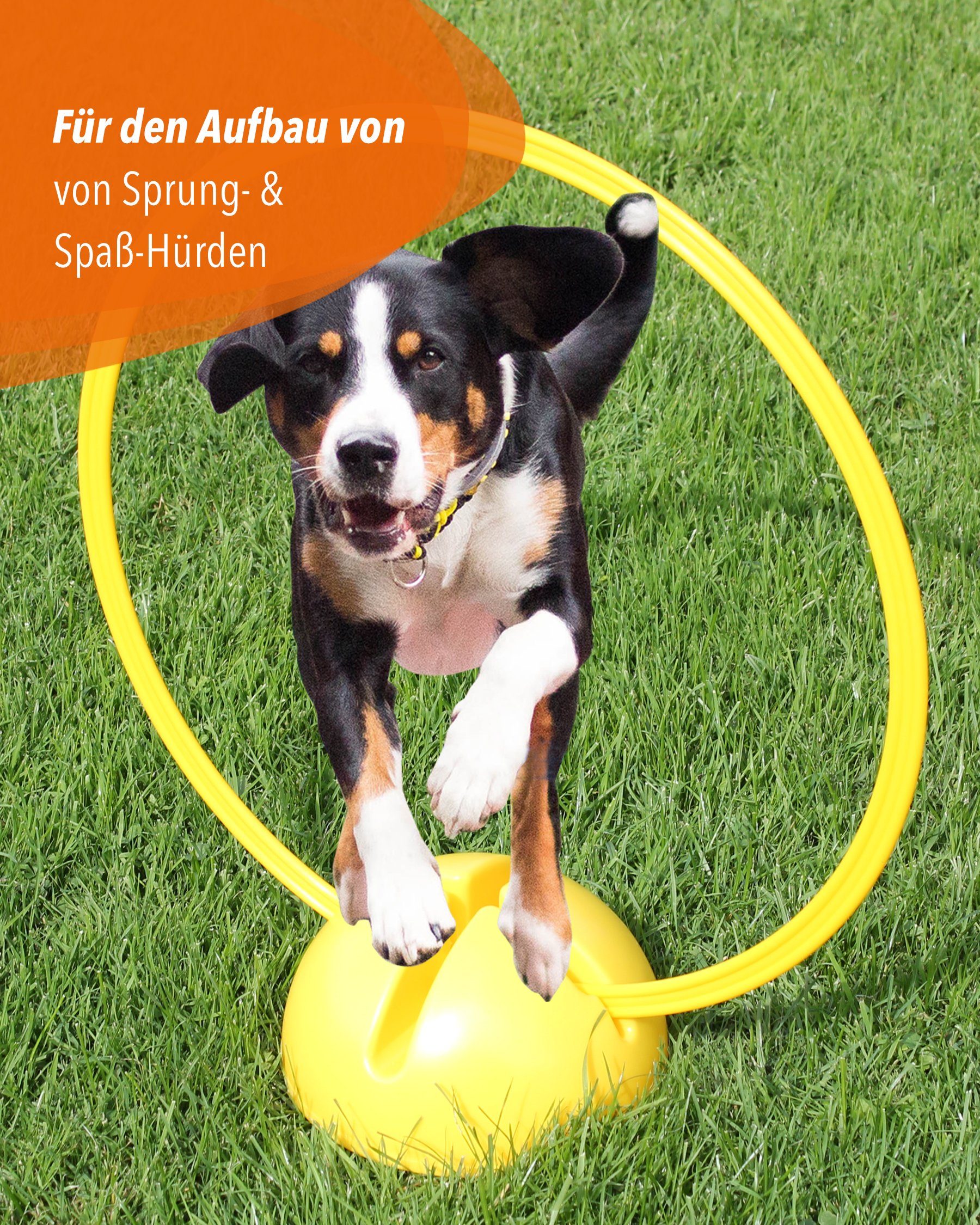 Superhund Trainingsring Ring 50 ø 50 cm Farbe Gelb