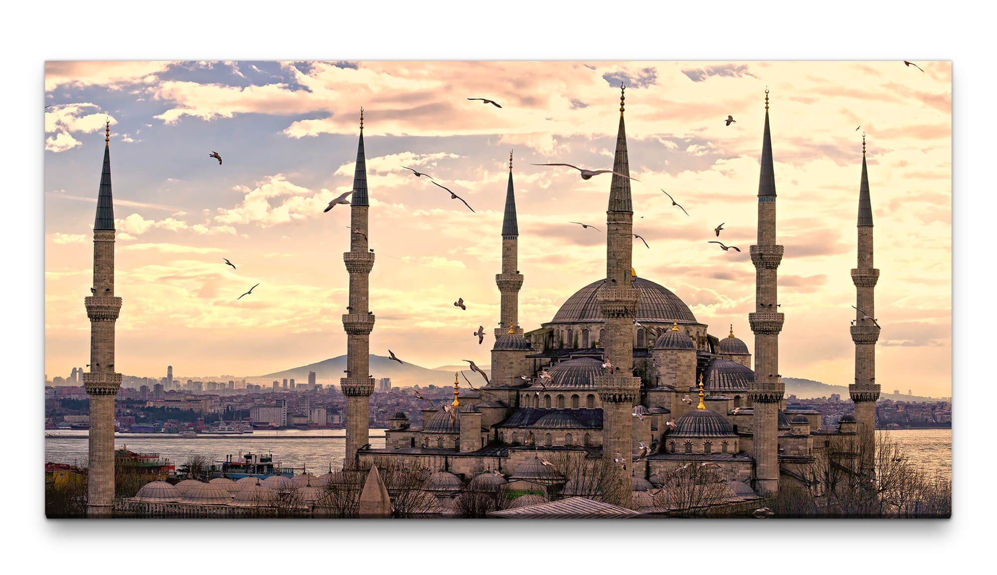 möbel-direkt.de Leinwandbild Bilder XXL Istanbul mit Vögeln 50x100cm Wandbild auf Leinwand