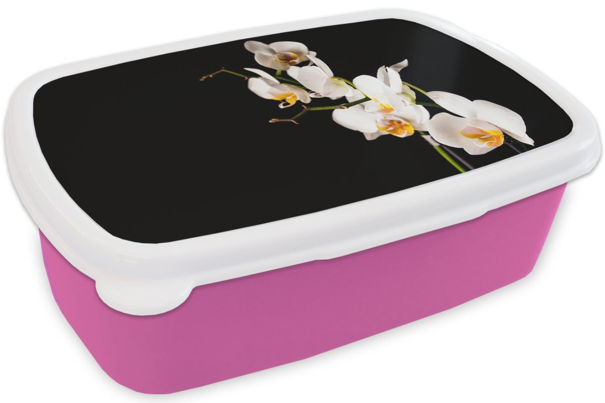 für rosa MuchoWow Erwachsene, Orchidee Snackbox, Kinder, Lunchbox - Brotbox Brotdose - Pflanzen Kunststoff, Kunststoff Botanisch, - (2-tlg), Blumen Mädchen,