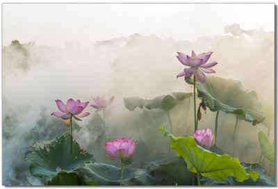 Victor (Zenith) Leinwandbild Lotusblüte, Landschaften, in 60x90 cm, Wandbild Leinwand Blumen, Landschaften
