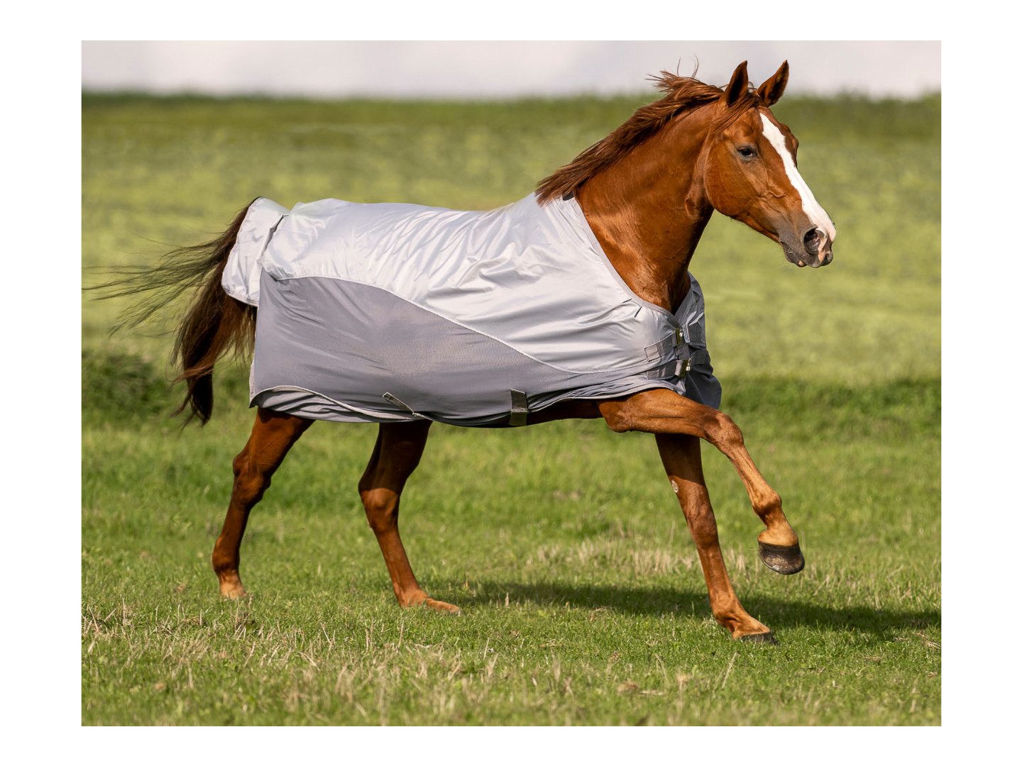 BUSSE Ausreitdecke Outdoordecke RainFly