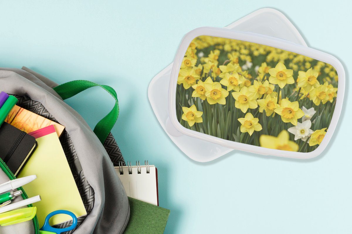 Brotbox Kinder für Erwachsene, und - Gelb weiß - Blumen MuchoWow für und Kunststoff, (2-tlg), Brotdose, Lunchbox Narzissen, Jungs Mädchen