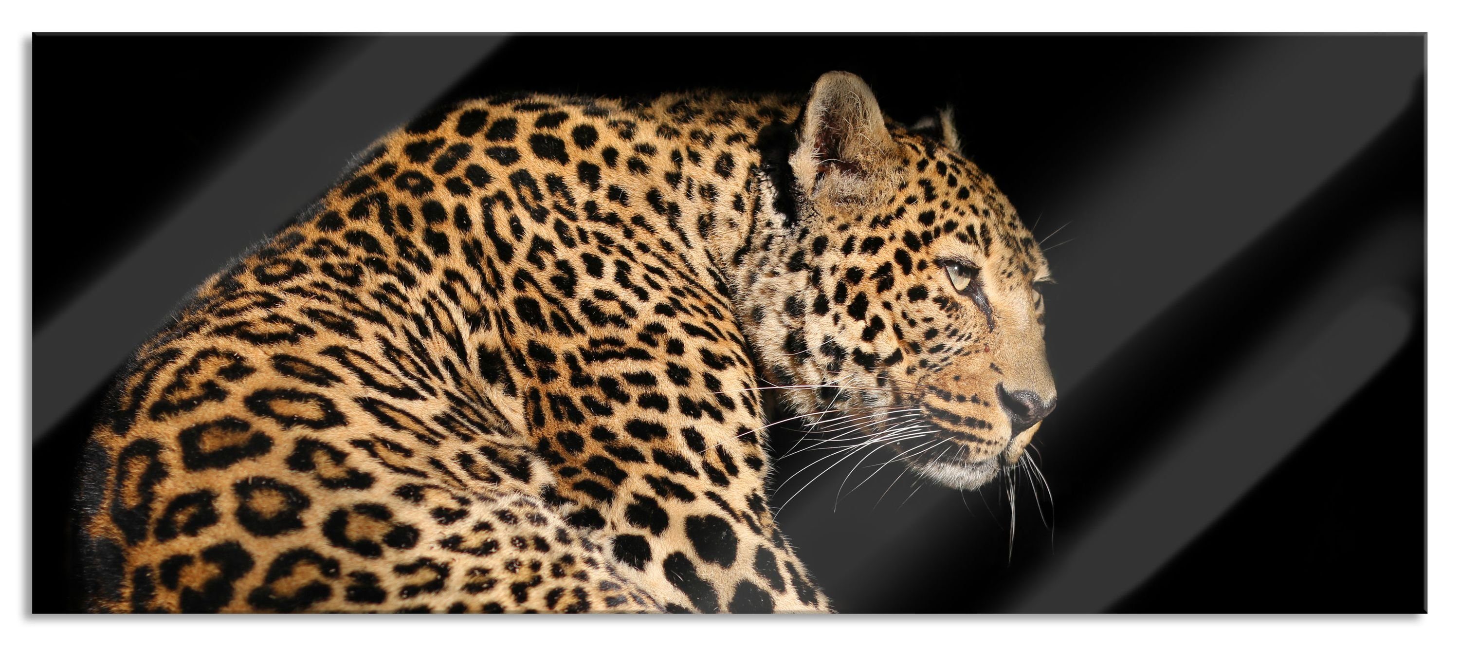 Abstandshalter Glasbild Anmutiger Anmutiger Leopard, Glasbild aus St), (1 inkl. Pixxprint Aufhängungen und Echtglas, Leopard