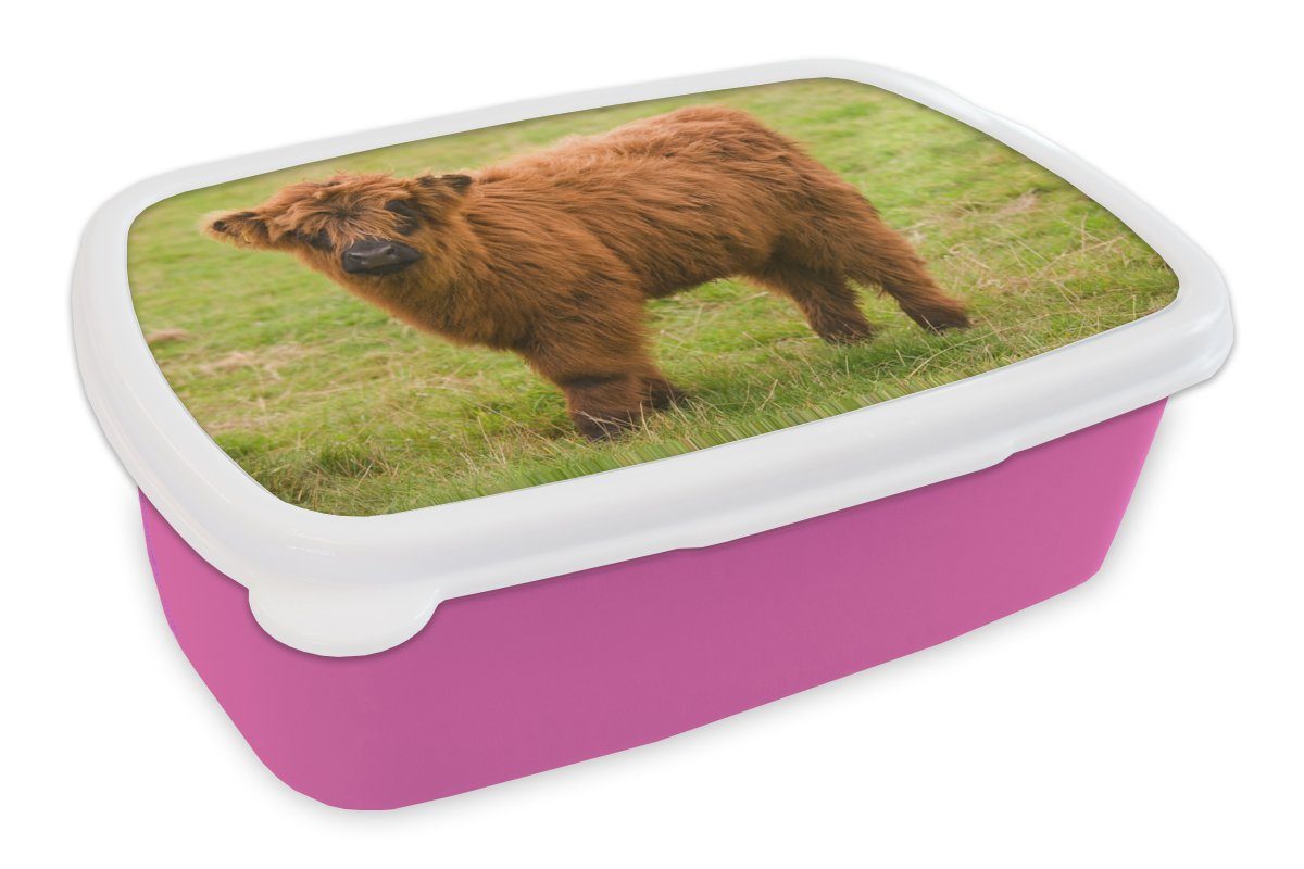 Leicht Mädchen, (2-tlg), Mantel, Schottischer Highlander Erwachsene, für Kunststoff - Lunchbox rosa Kinder, Kunststoff, - MuchoWow Brotbox Snackbox, Brotdose
