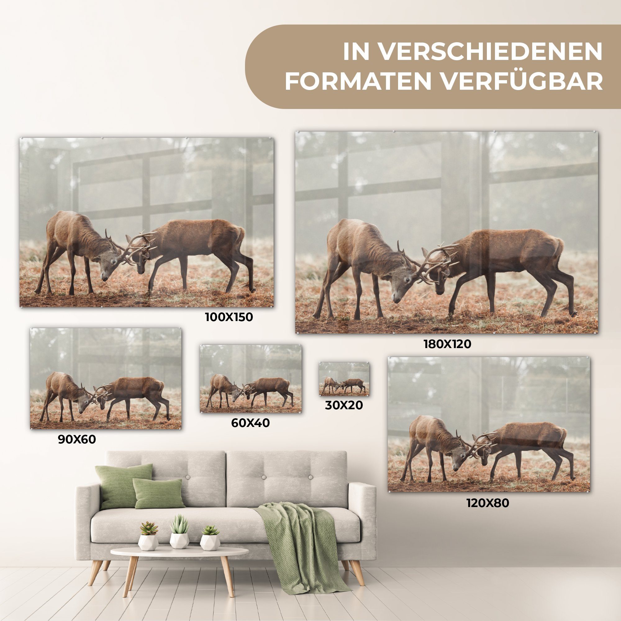 MuchoWow St), Wald - Gras, Hirsche Schlafzimmer (1 & Acrylglasbild Acrylglasbilder Wohnzimmer -