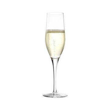 Stölzle Glas Exquisit Champagner Tastinggläser 18er Set, Glas