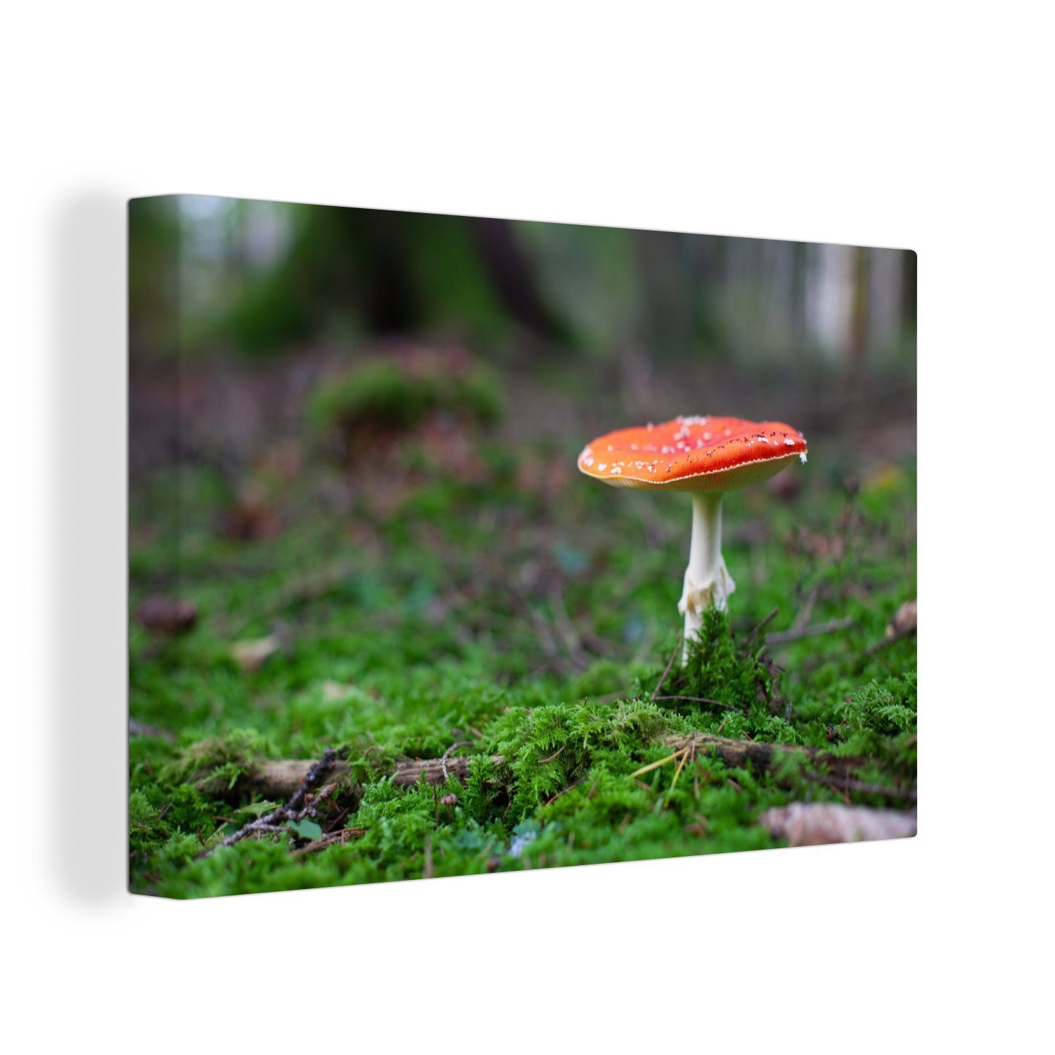 Aufhängefertig, Rot Wanddeko, Leinwandbilder, Leinwandbild Wandbild St), OneMillionCanvasses® 30x20 (1 mit cm Champignon, weißem