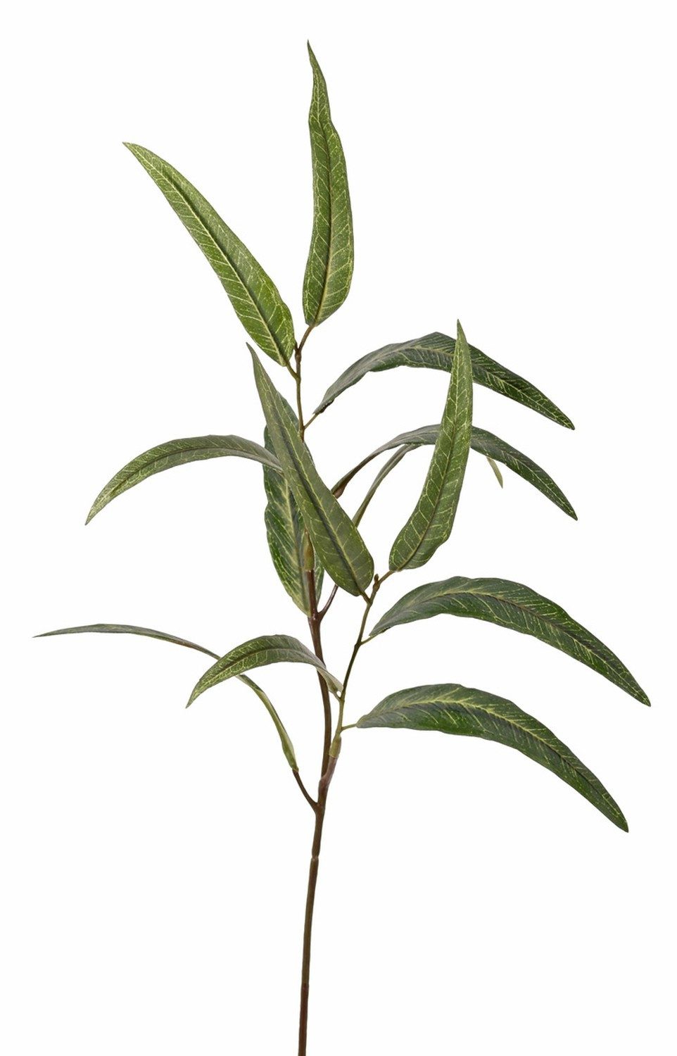 Kunstzweig Kunst Eucalyptus Zweig SEMA, grün, 70cm Eukalyptus, artplants, Höhe 70.0 cm