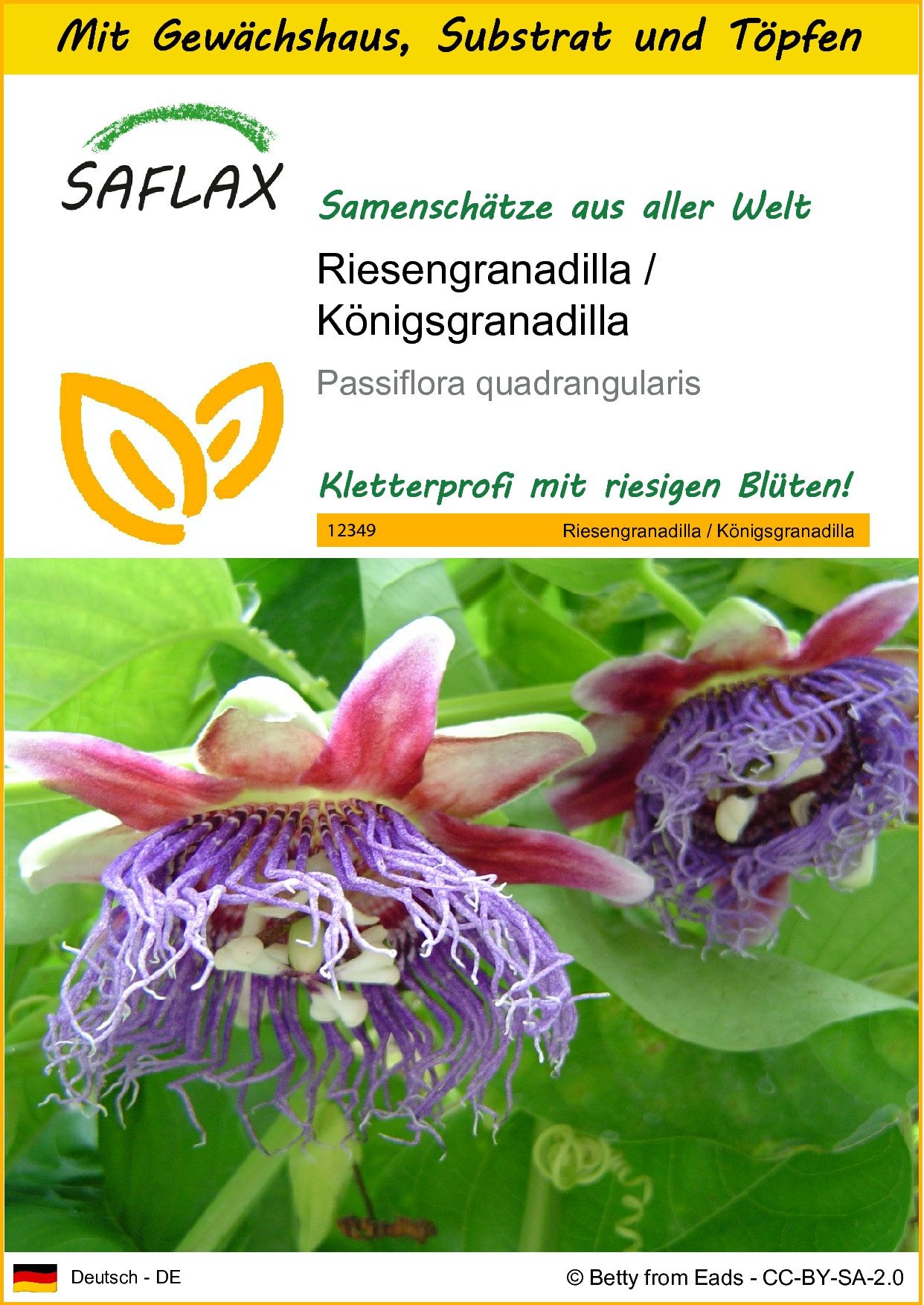 Blumensamen SAFLAX - Anzuchtset - Riesengranadilla / Königsgranadilla