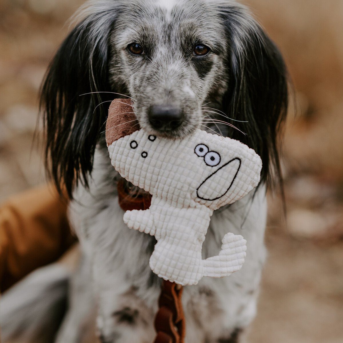 Hunter Tierbedarf Tierkuscheltier Hundespielzeug Barry Hund günstig online kaufen