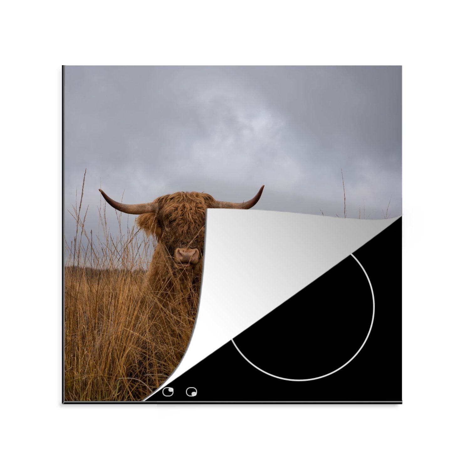MuchoWow Herdblende-/Abdeckplatte Schottischer Highlander - Gras - Hörner, Vinyl, (1 tlg), 78x78 cm, Ceranfeldabdeckung, Arbeitsplatte für küche