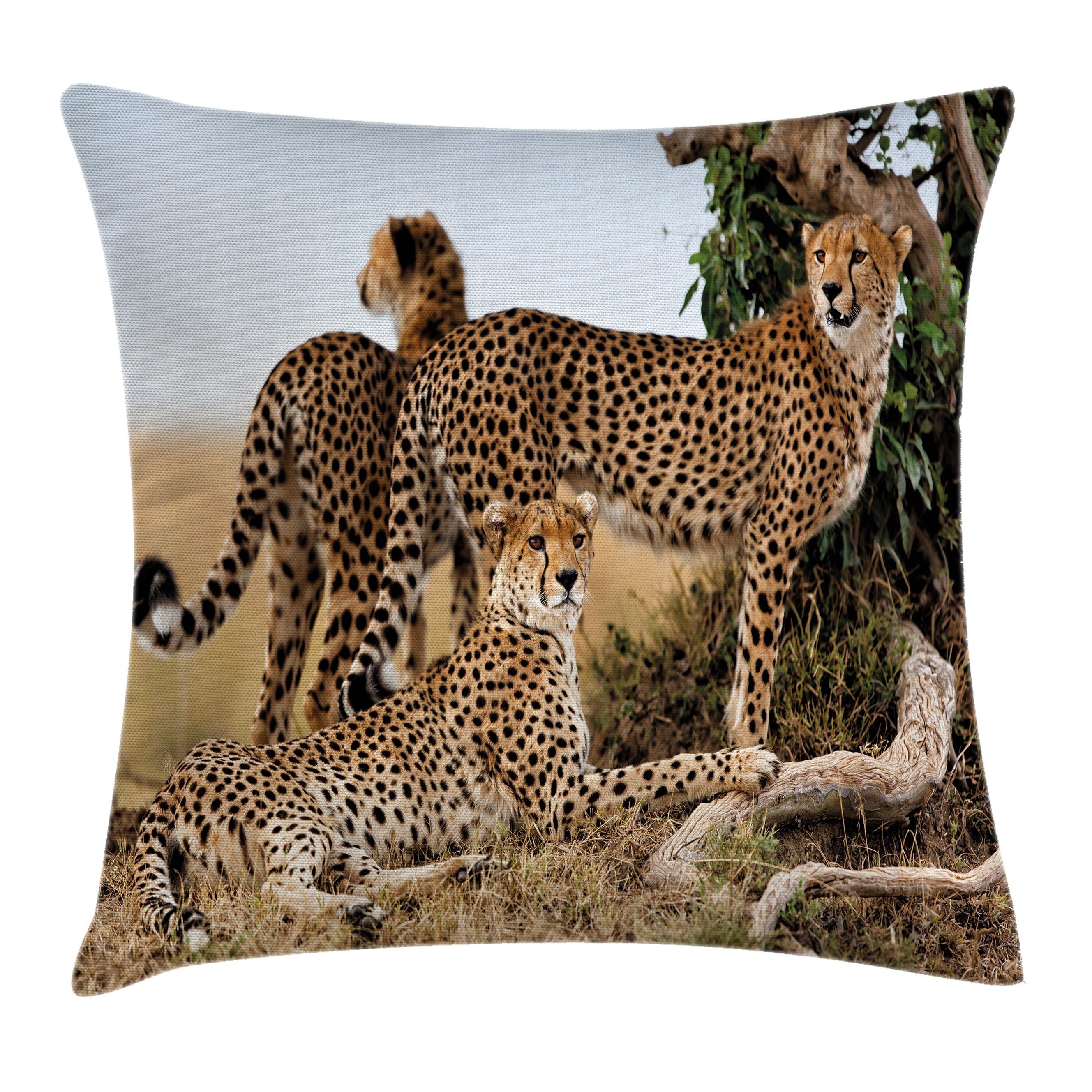 Kissenbezüge Waschbar mit Reißverschluss Beidseitiger Klaren Cheetahs (1 Farben Safari-Tier Tierwelt Stück), Kissenhülle mit Druck, Abakuhaus Farbfesten