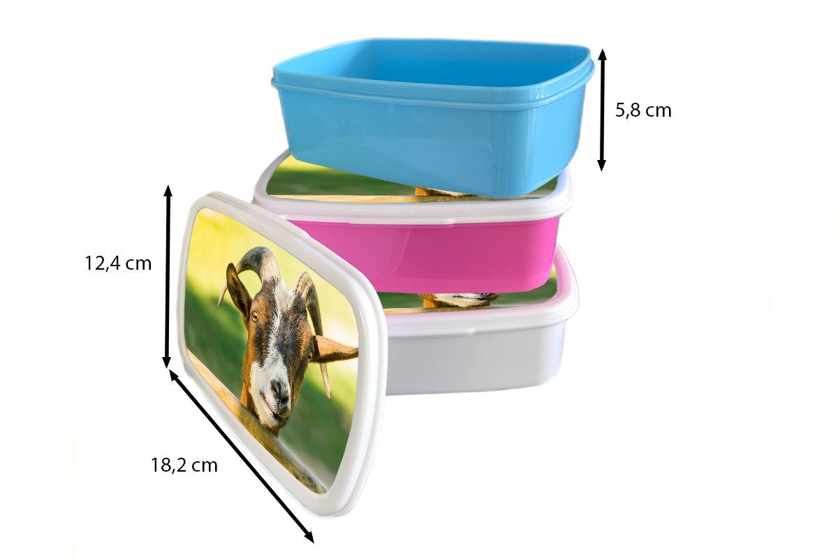MuchoWow Lunchbox Ziege - Snackbox, rosa Erwachsene, (2-tlg), - Zaun - Kinder, Brotdose Horn, Kunststoff, Mädchen, Kunststoff Brotbox für Tiere