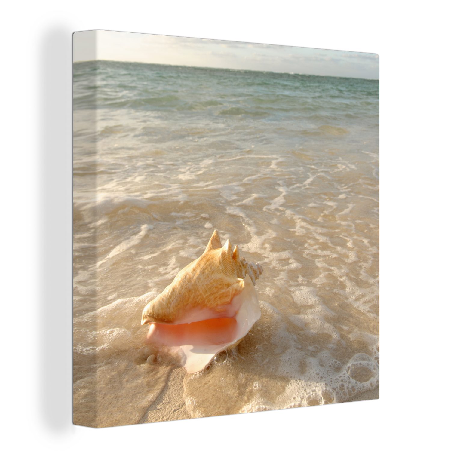 OneMillionCanvasses® Leinwandbild Muschel - Meer - Himmel, (1 St), Leinwand Bilder für Wohnzimmer Schlafzimmer