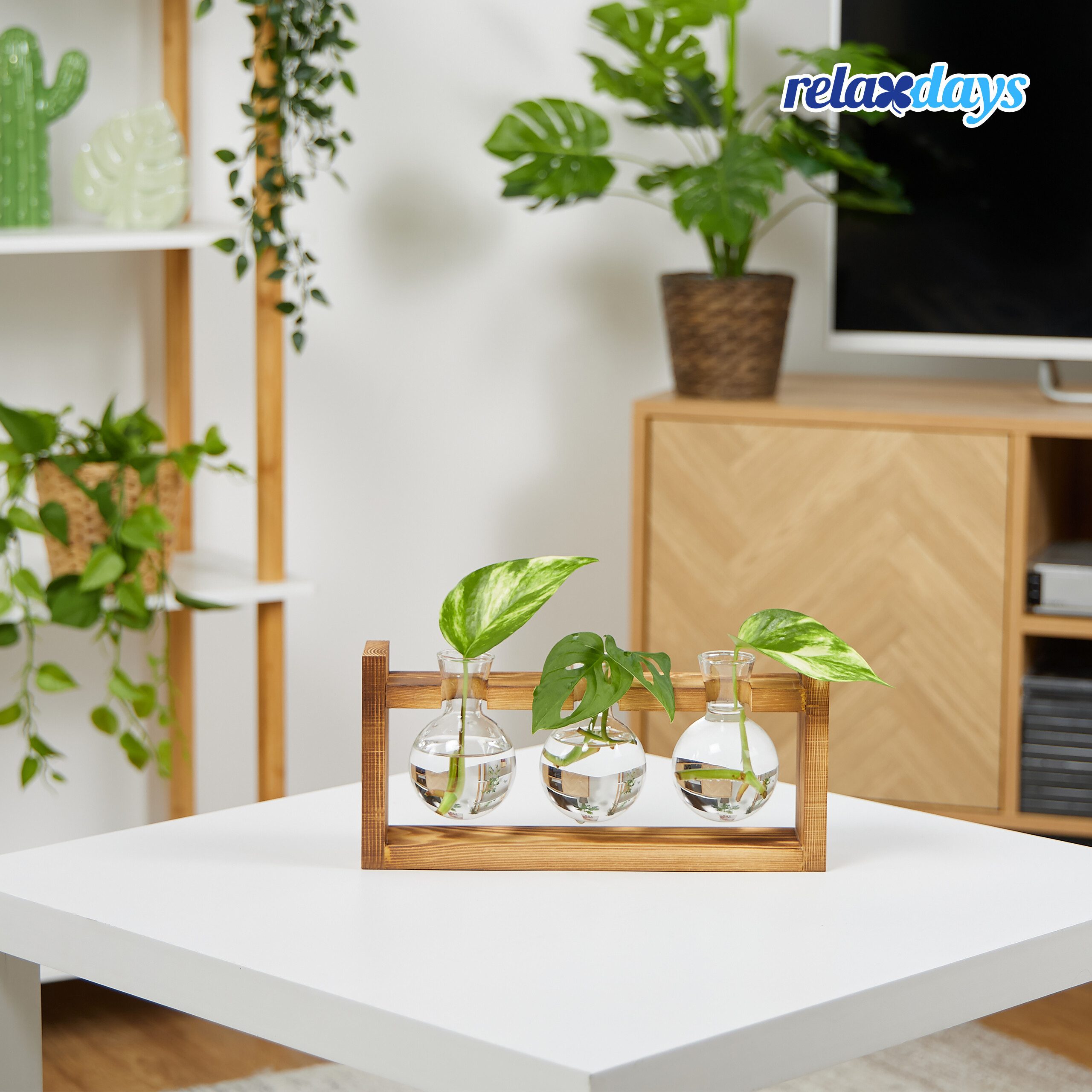 relaxdays Dekovase Reagenzglas Vase mit Ständer, günstig online kaufen