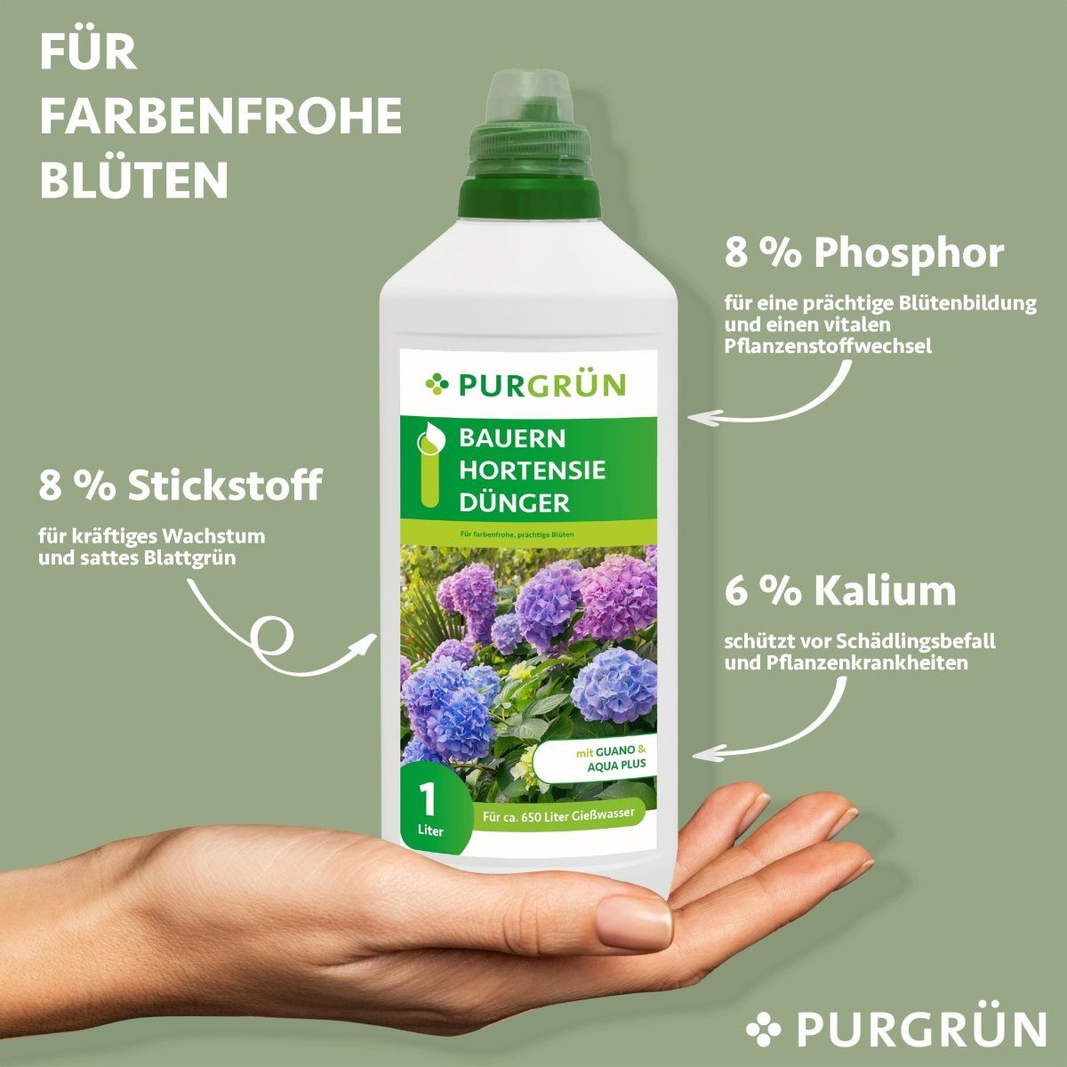 Purgrün Blumendünger Purgrün Bauernhortensie Dünger, NPK günstig online kaufen