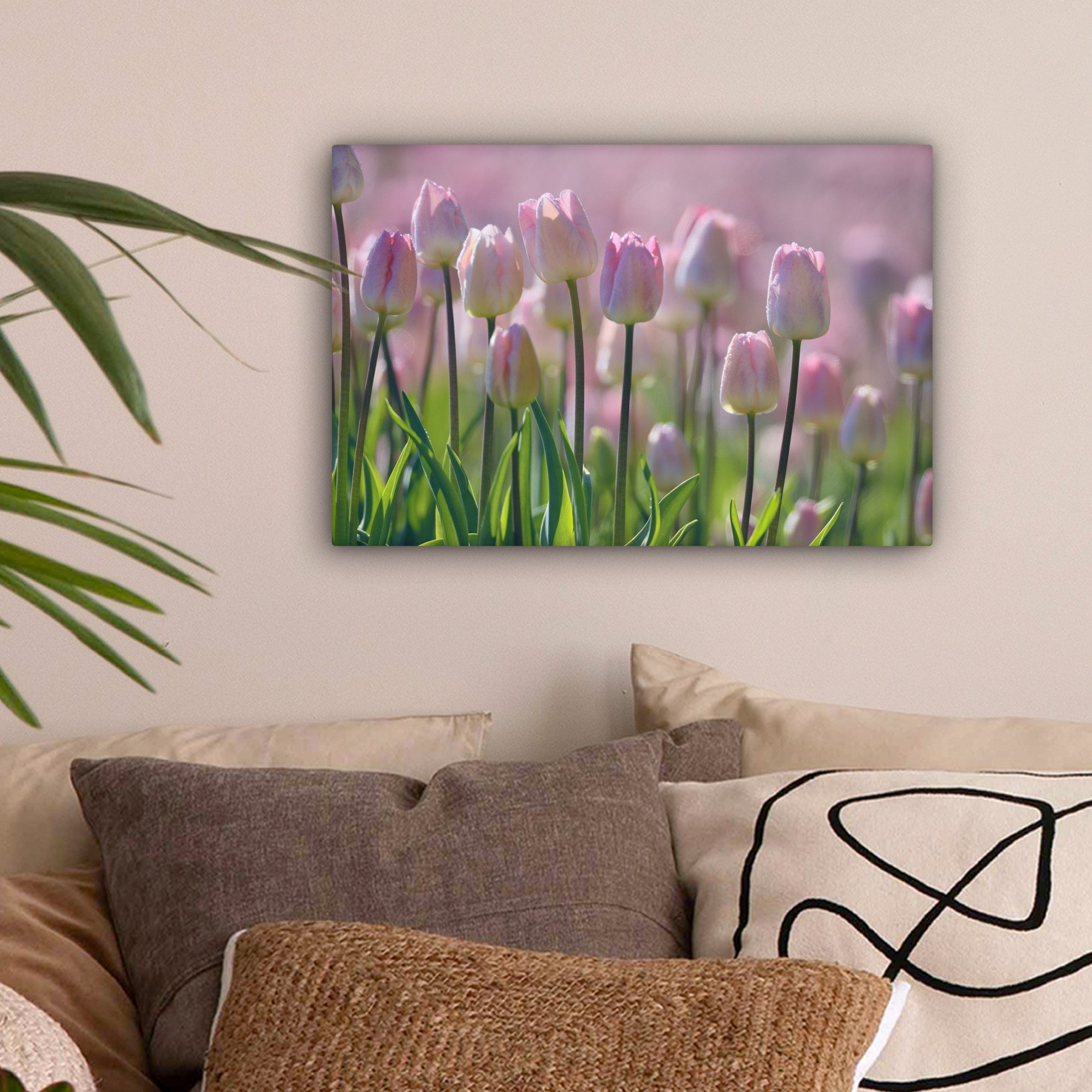OneMillionCanvasses® Leinwandbild Rosa Tulpen im Frühling, günstig online kaufen