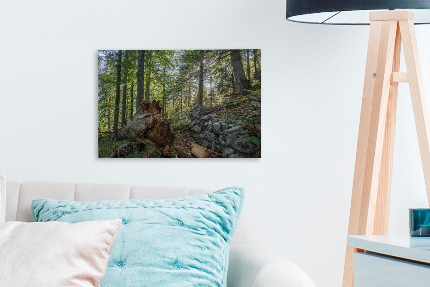 Nationalpark (1 Österreich, Kalkalpen Wälder Wanddeko, St), in 30x20 Leinwandbilder, Wandbild Aufhängefertig, Leinwandbild Uralte im cm OneMillionCanvasses®