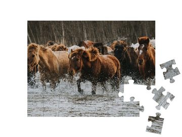 puzzleYOU Puzzle Pferde in einem Waldgebiet in der Mongolei, 48 Puzzleteile, puzzleYOU-Kollektionen Asien