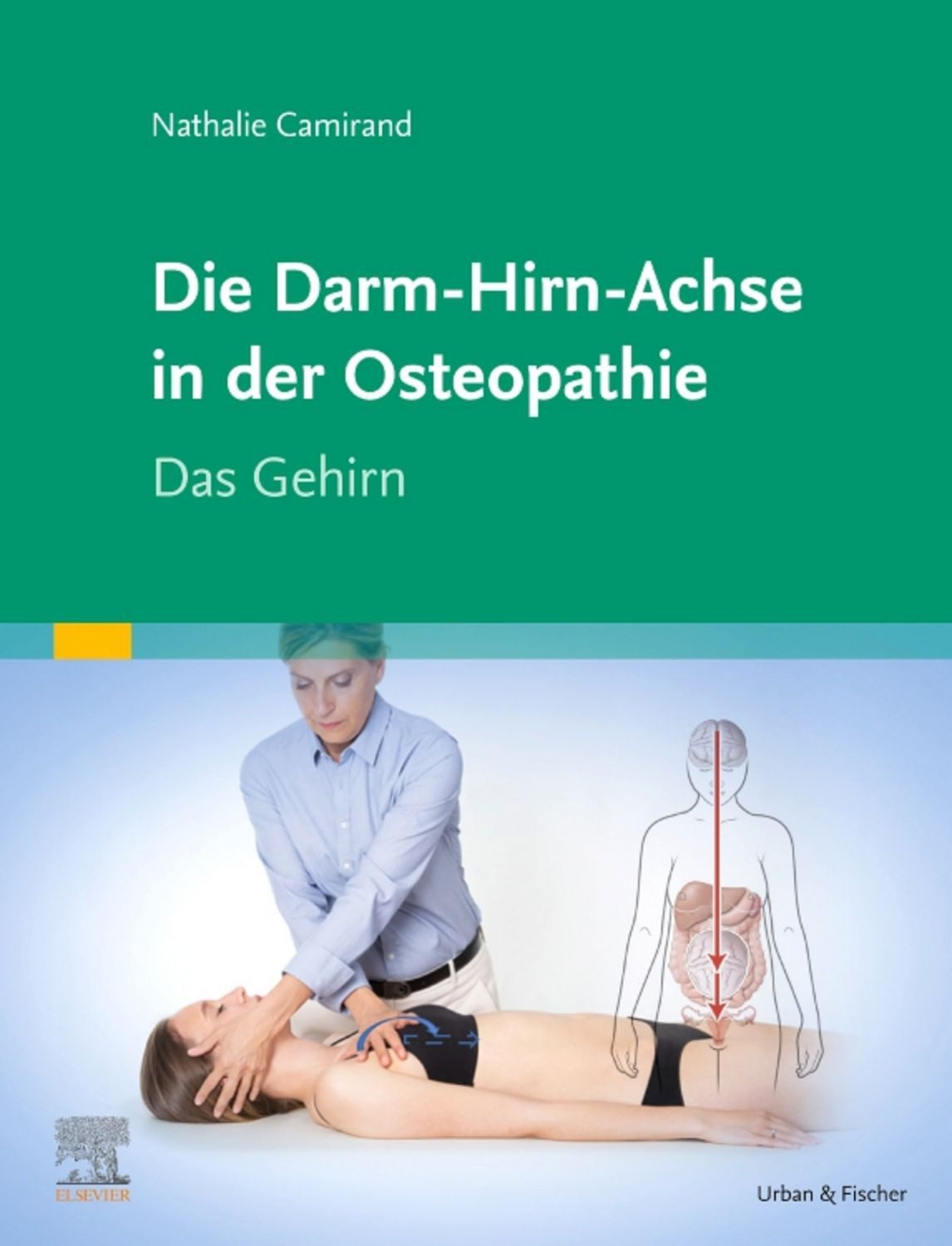 Die Achse Hirn-Darm-Becken in der Osteopathie / Nathalie Camirand