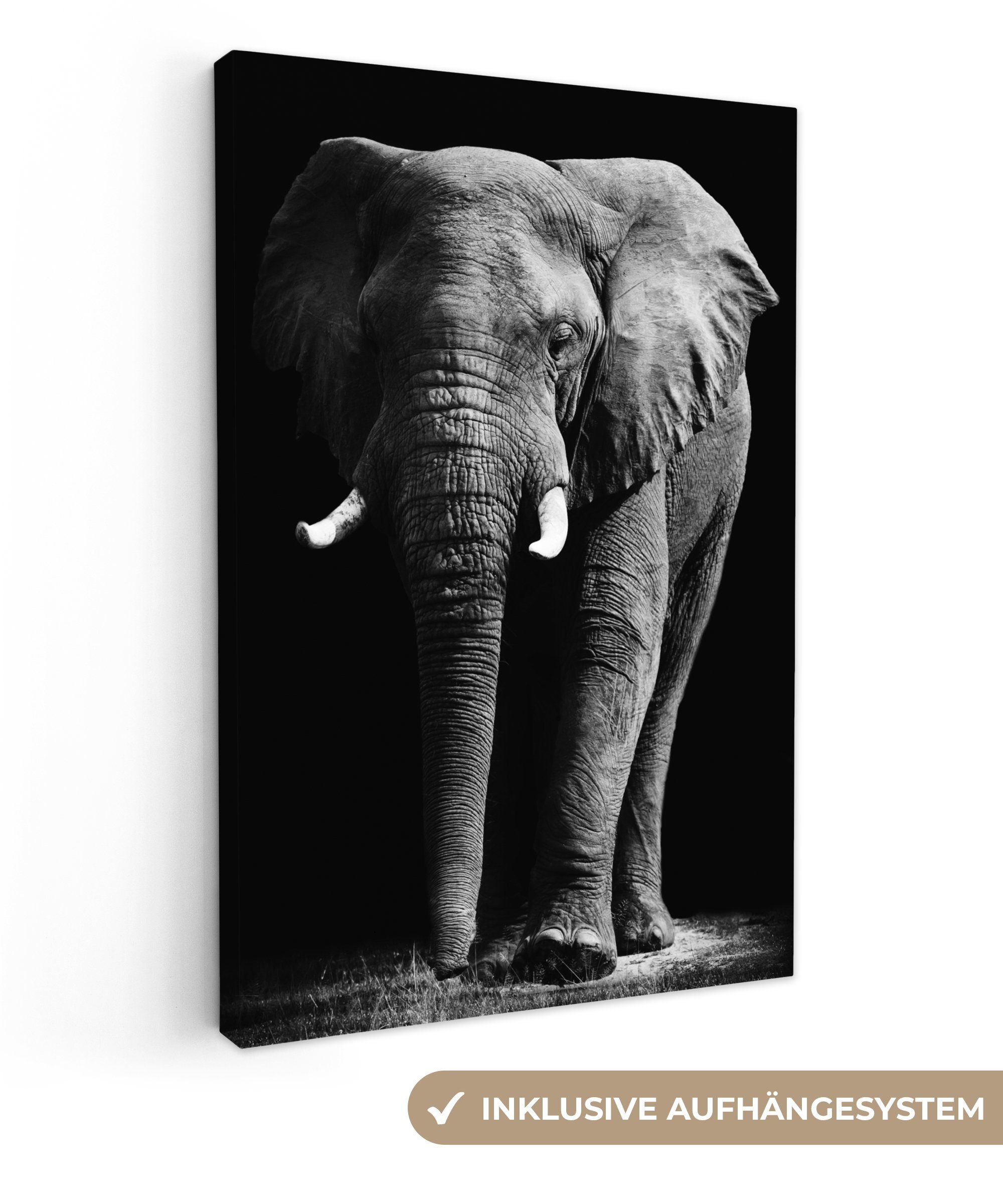 OneMillionCanvasses® Leinwandbild Elefant - Schwarz - günstig online kaufen