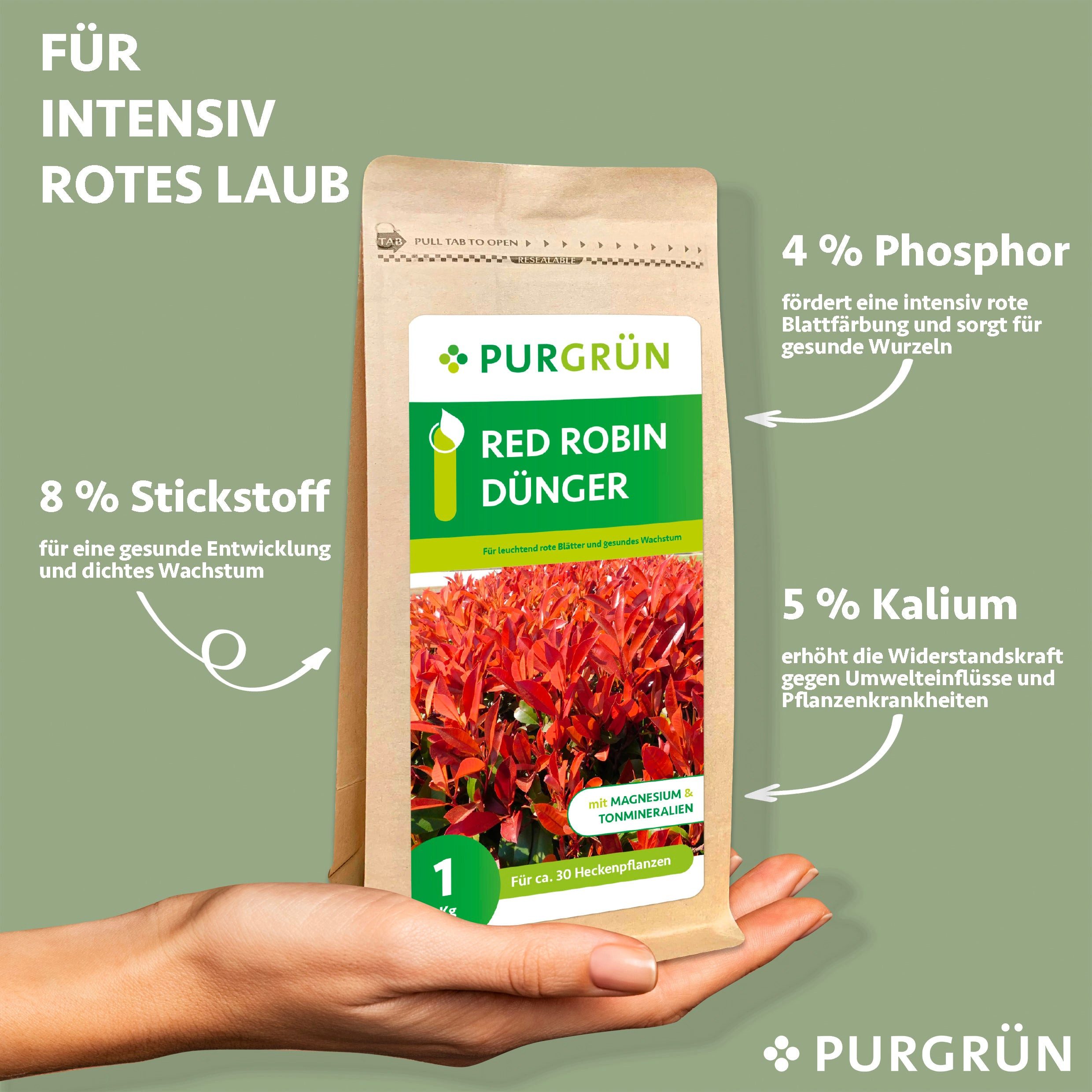 Purgrün Gartendünger Purgrün Red Robin Dünger, günstig online kaufen