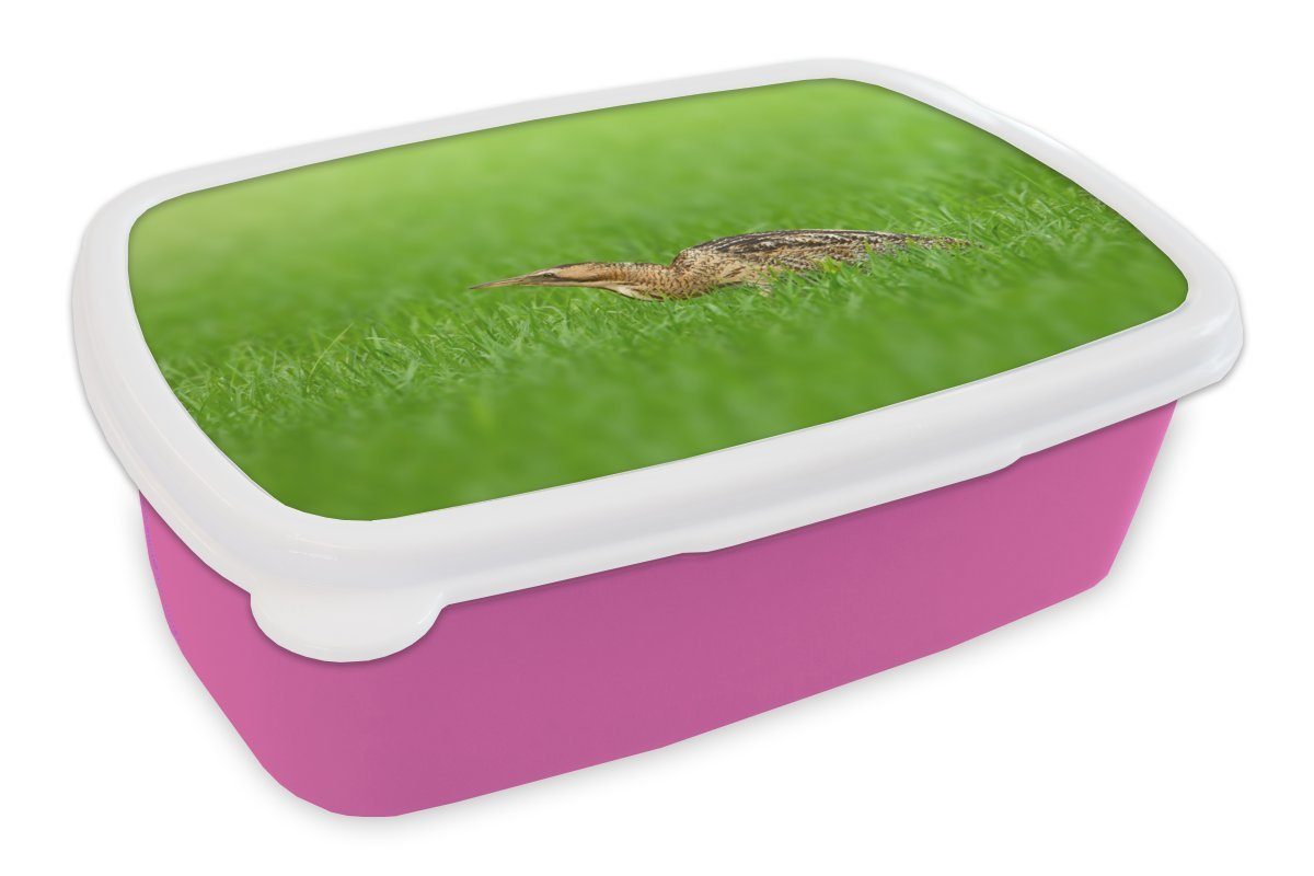 MuchoWow Lunchbox Eine Rohrdommel läuft tief durch die Wiesen, Kunststoff, (2-tlg), Brotbox für Erwachsene, Brotdose Kinder, Snackbox, Mädchen, Kunststoff rosa | Lunchboxen