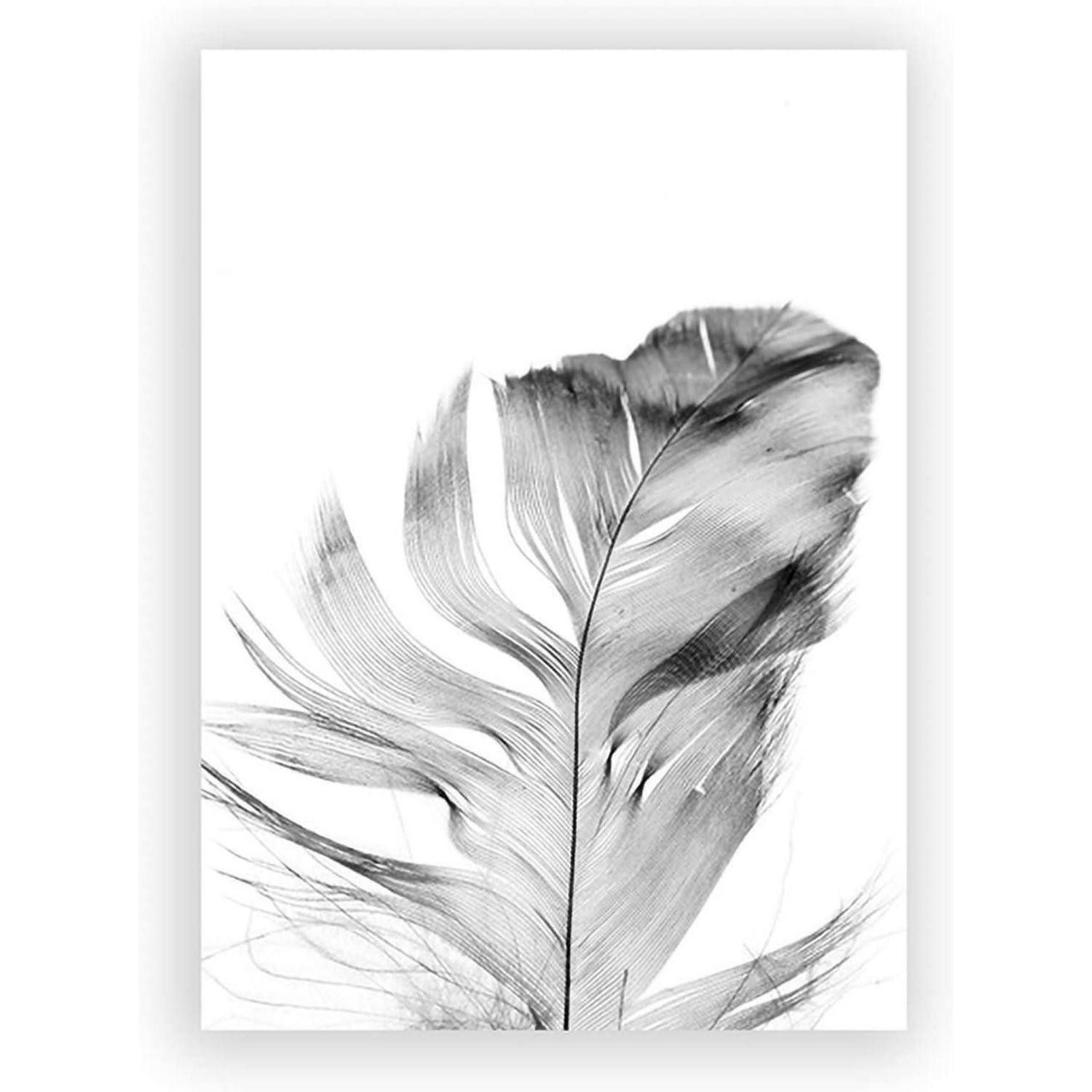 LuxusKollektion Poster 3-teiliges Poster Set Blume Schwarz Weiß Feder Löwenzahn Wandbilder – Bild 5 von 5