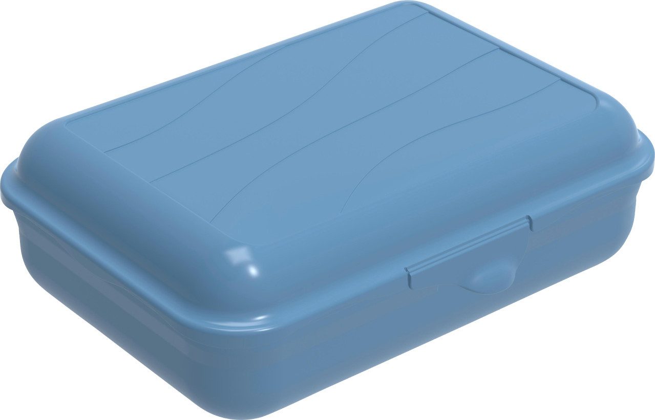 ROTHO Vorratsdose Rotho Brotdose Funbox 1,25 l, 19,5 x 14,5 x 6,5, Kunststoff