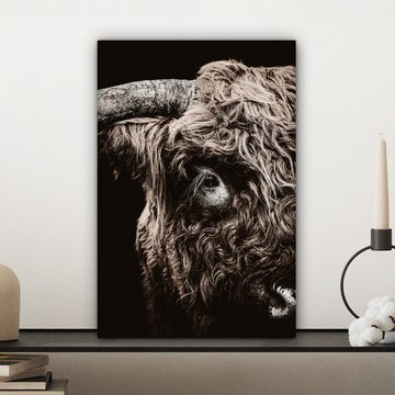 OneMillionCanvasses® Leinwandbild Schottischer Highlander - Kuh - Stier, (1 St), Leinwandbild fertig bespannt inkl. Zackenaufhänger, Gemälde, 20x30 cm