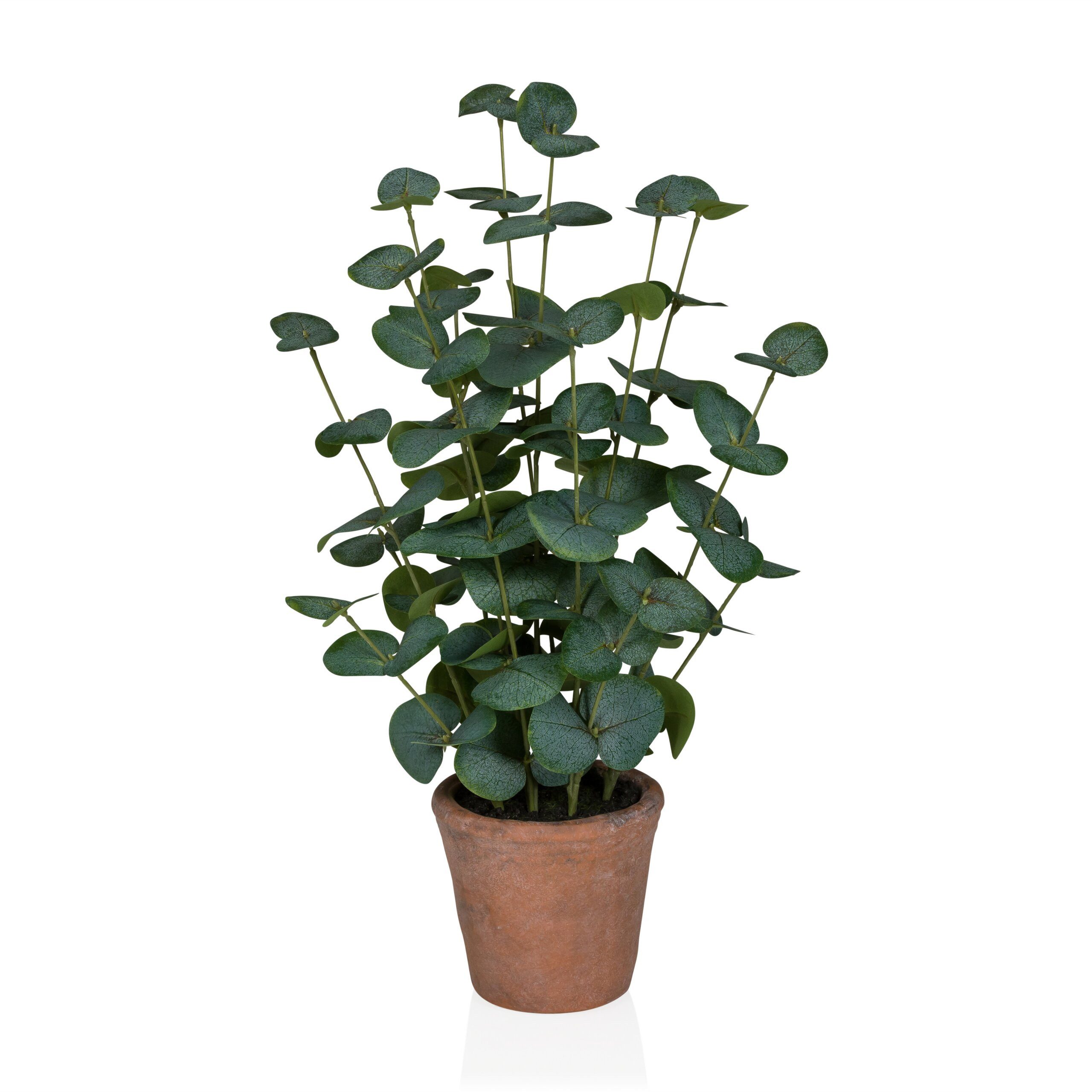 Kunstpflanze Eucalyptus Künstliche Pflanze im Topf Höhe 48.0 cm Eukalyptus, hjh OFFICE, Höhe 48.0 cm, Künstliche Deko Pflanze im Topf