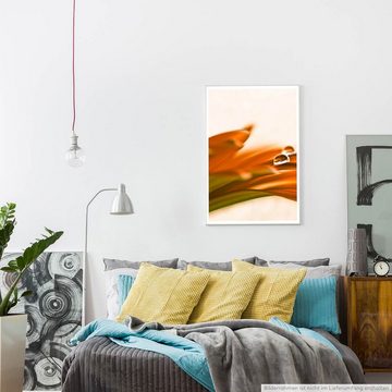 Sinus Art Poster Naturfotografie 60x90cm Poster Orange Blütenblätter im Detail