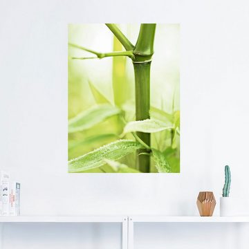 Artland Wandfolie Bambus Zweig, Gräser (1 St), selbstklebend